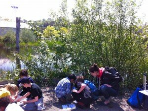 Wetland Discoveries: "Dip like a Duck" activity