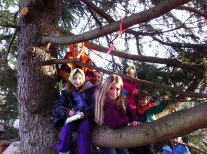 Climbing the big trees in the Children's Garden is fun for all ages!